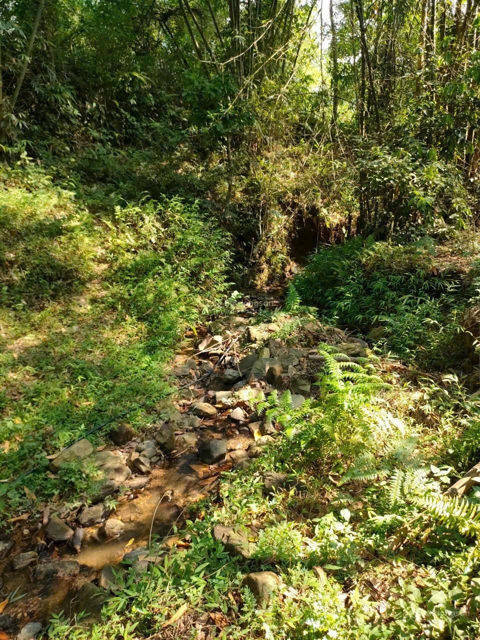 Bán 50 ha đất rừng sản xuất làm khu nghỉ dưỡng, du lịch sinh thái tại Hòa Bình